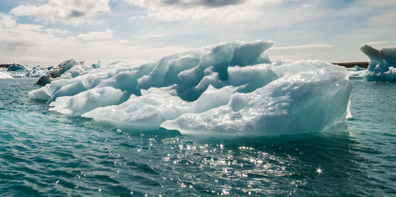Конкурс «Команда Арктики»