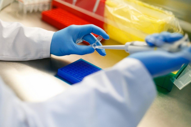 Приём заявок на конкурс Президентской программы исследовательских проектов