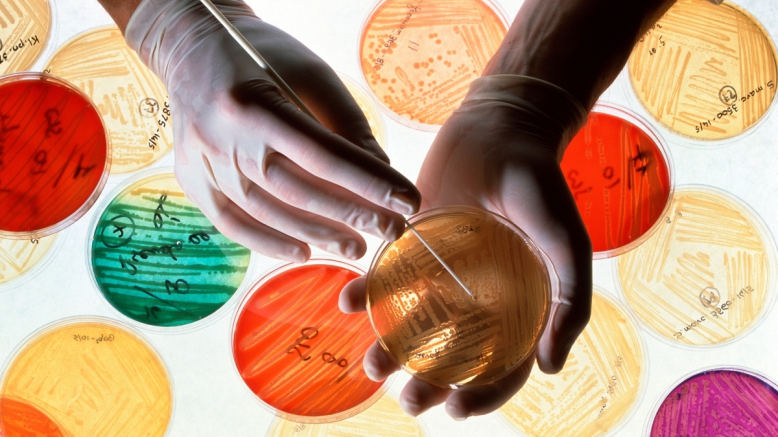 Назад в будущее: к чему может привести бесконтрольный приём антибиотиков