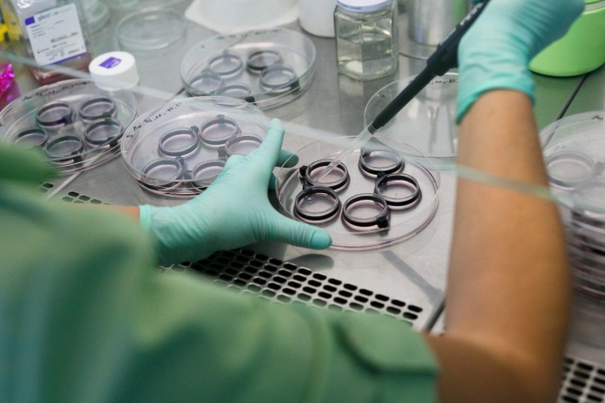 Российский научный фонд принимает заявки на конкурс