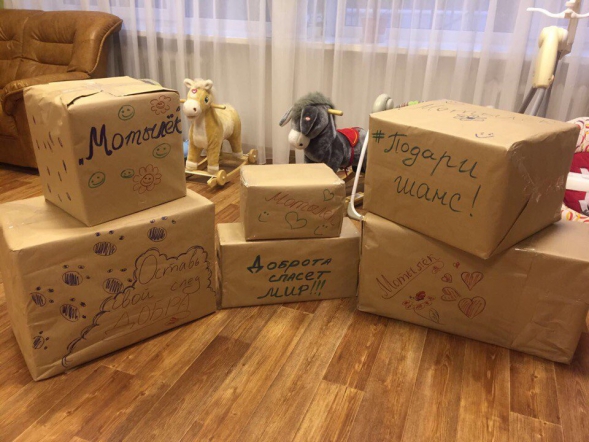 Волонтеры СПбГПМУ посетили кризисный центр для молодых мам 3