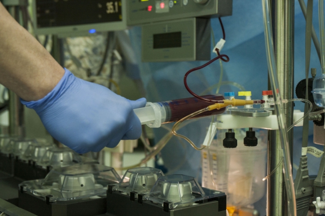 Врачи СПбГПМУ применили этапный подход при коррекции тетрады Фалло 2