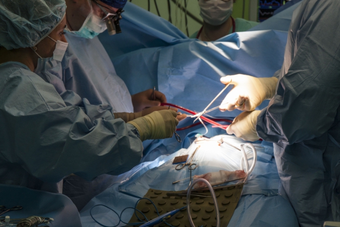 Врачи СПбГПМУ применили этапный подход при коррекции тетрады Фалло 4