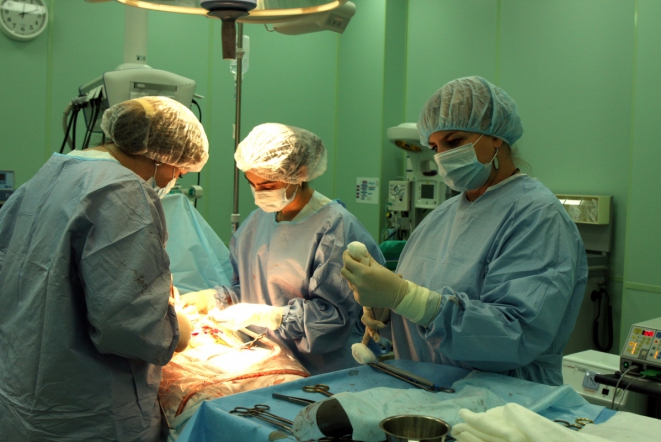 Боевое сестринство 7