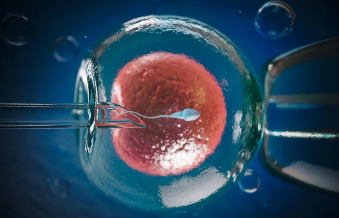 25 июля всемирный день Вспомогательных репродуктивных технологий