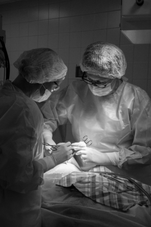 В Тверском Перинатальном центре рассказали о взаимодействии с СПбГПМУ 4