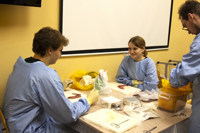 В СПбГПМУ состоялась студенческая олимпиада по оперативной хирургии 2