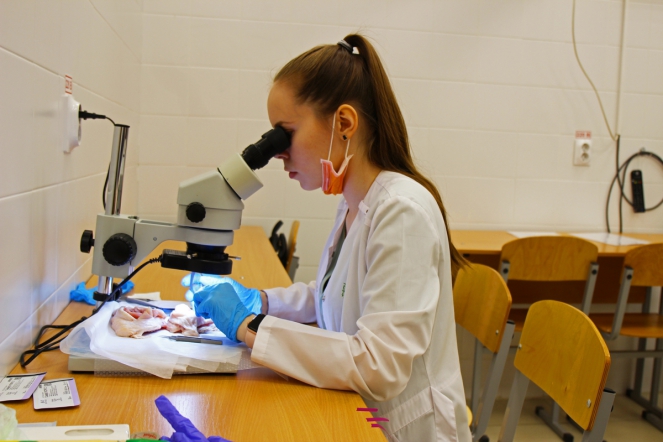В СПбГПМУ состоялась студенческая олимпиада по оперативной хирургии 4