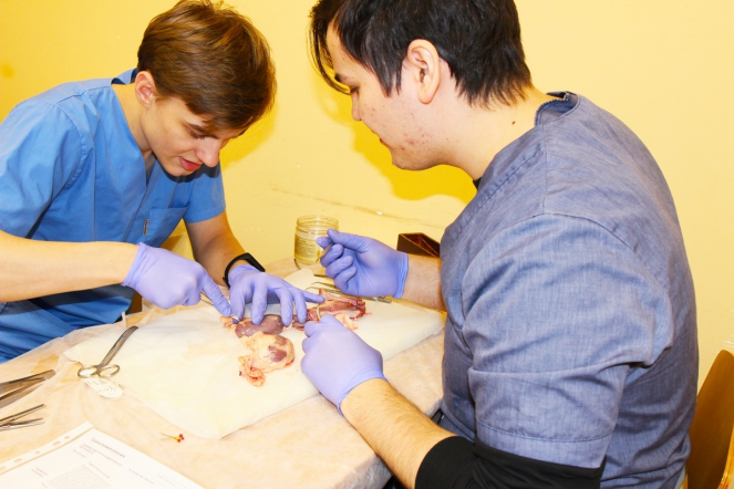 В СПбГПМУ состоялась студенческая олимпиада по оперативной хирургии 10