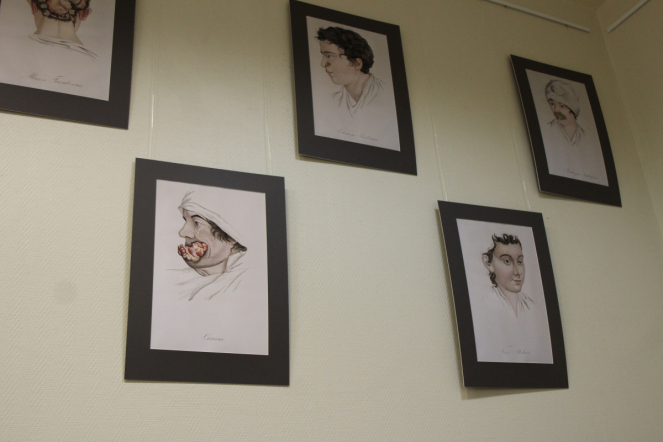 На кафедре дерматовенерологии открыли галерею акварелей середины XIX века 10